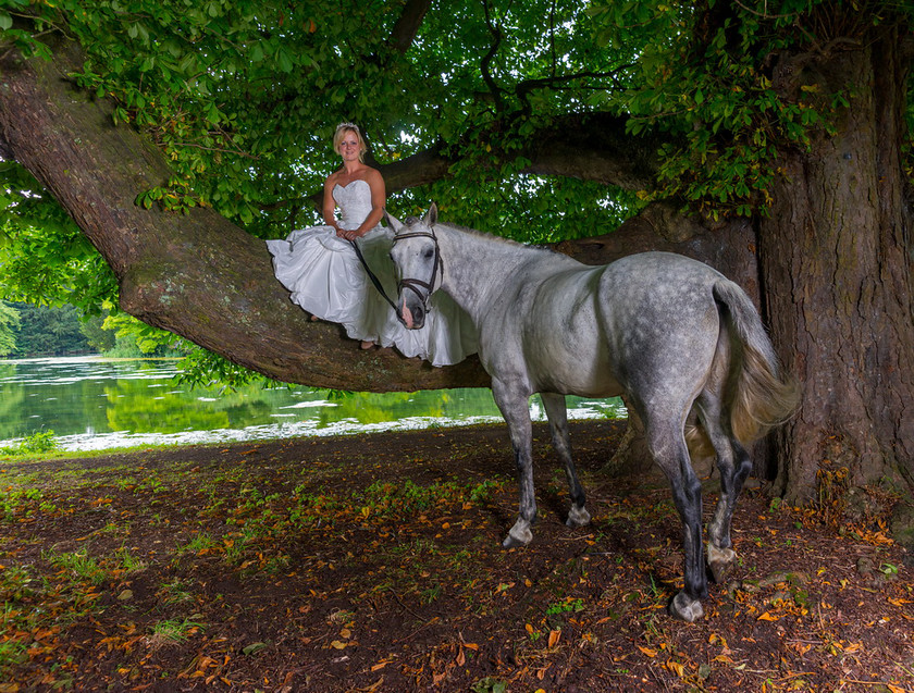 WWE Bridal tree 018 
 West Wycombe Horse shoot 
 Keywords: Buckinghamshire wedding photographer, Horses, Piers Photo, Summer, West Wycombe House