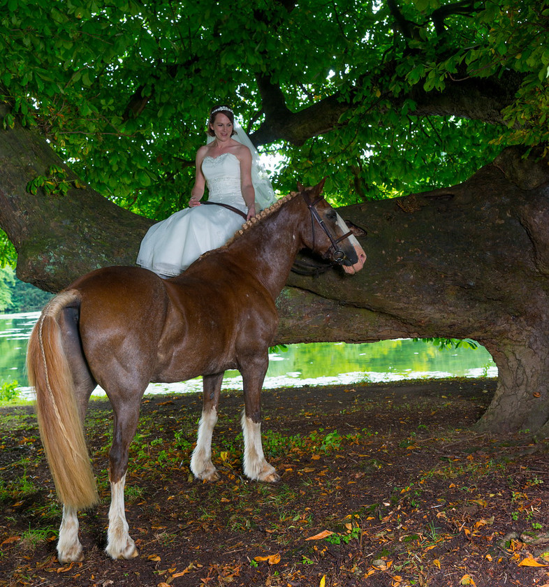 WWE Bridal tree 007 
 West Wycombe Horse shoot 
 Keywords: Buckinghamshire wedding photographer, Horses, Piers Photo, Summer, West Wycombe House