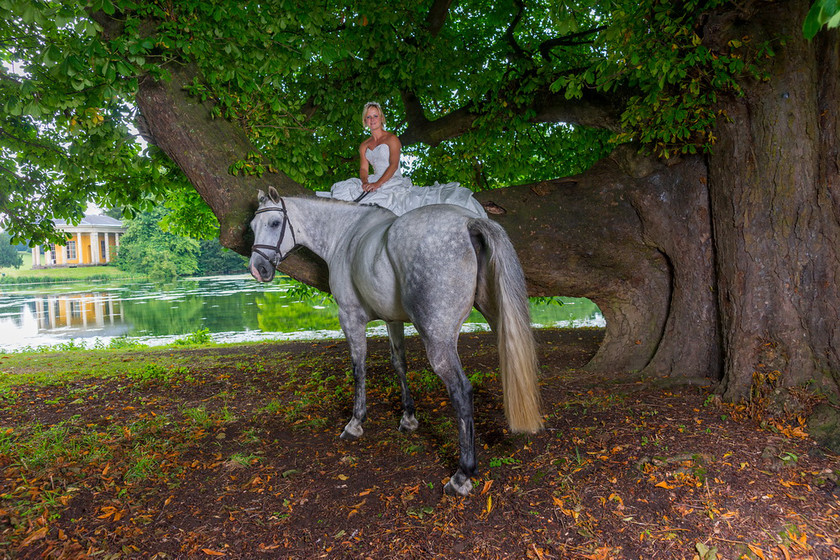 WWE Bridal tree 015 
 West Wycombe Horse shoot 
 Keywords: Buckinghamshire wedding photographer, Horses, Piers Photo, Summer, West Wycombe House