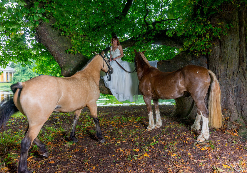 WWE Bridal tree 002 
 West Wycombe Horse shoot 
 Keywords: Buckinghamshire wedding photographer, Horses, Piers Photo, Summer, West Wycombe House