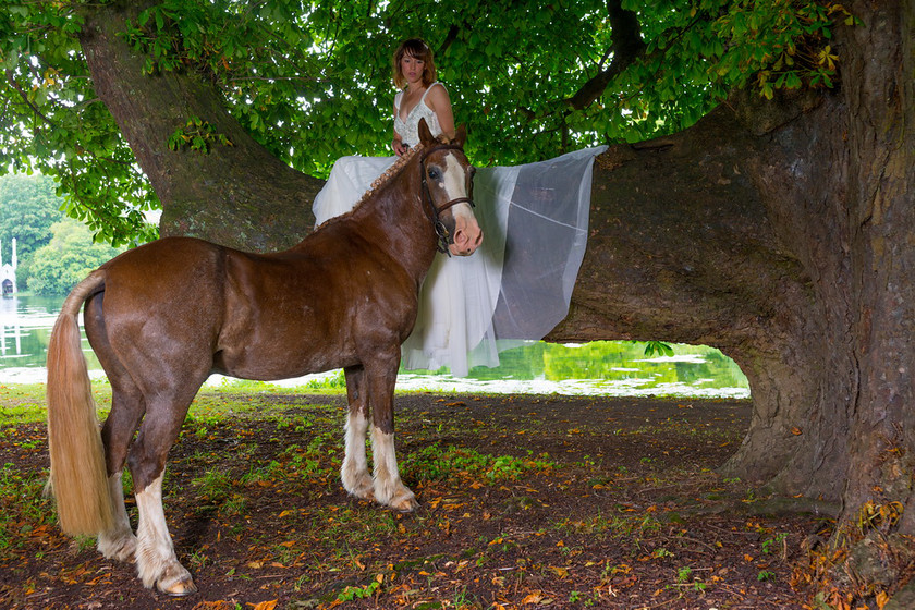 WWE Bridal tree 005 
 West Wycombe Horse shoot 
 Keywords: Buckinghamshire wedding photographer, Horses, Piers Photo, Summer, West Wycombe House