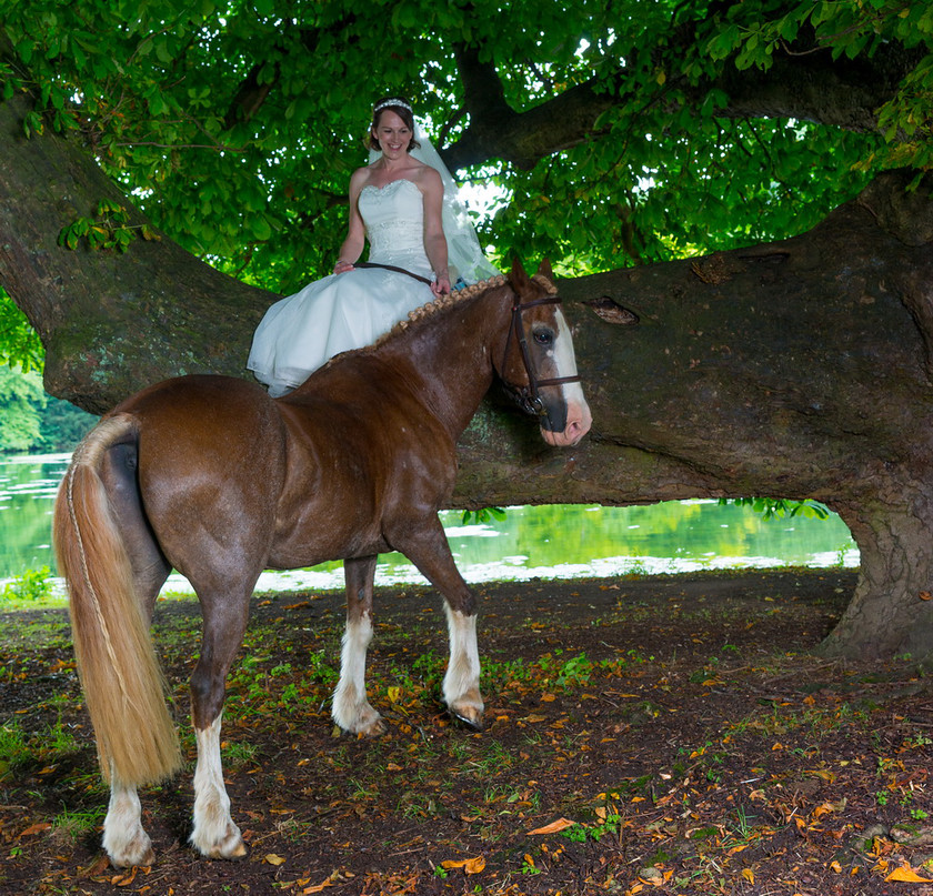 WWE Bridal tree 008 
 West Wycombe Horse shoot 
 Keywords: Buckinghamshire wedding photographer, Horses, Piers Photo, Summer, West Wycombe House