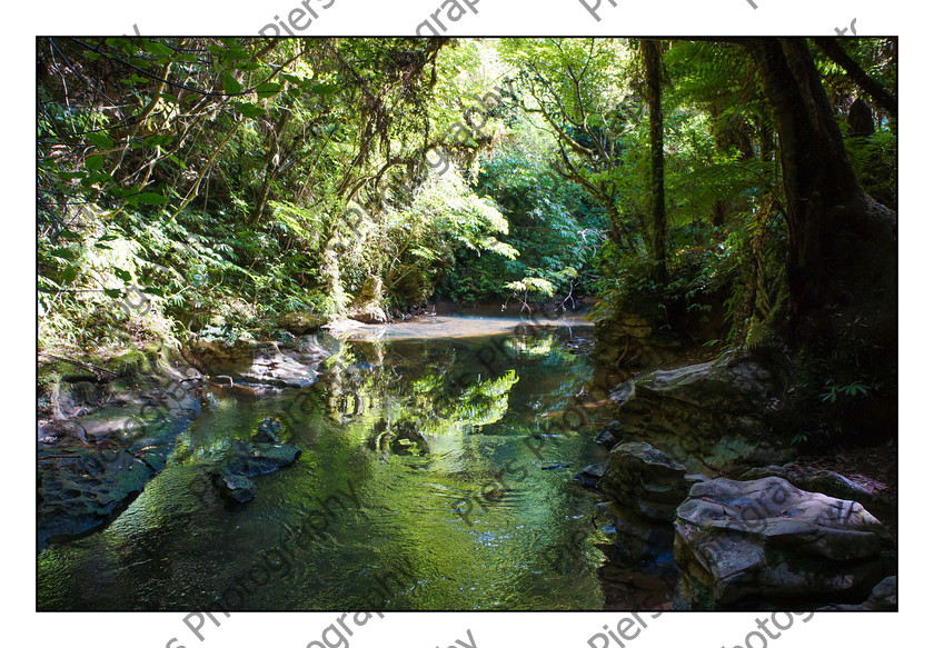 Waitomo 010 
 New Zealand Landscapes 
 Keywords: Piers Photography, New Zealand, South Island, North Island