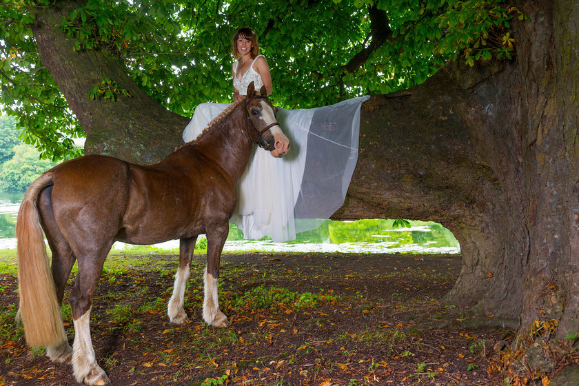 WWE Bridal tree 003 
 West Wycombe Horse shoot 
 Keywords: Buckinghamshire wedding photographer, Horses, Piers Photo, Summer, West Wycombe House