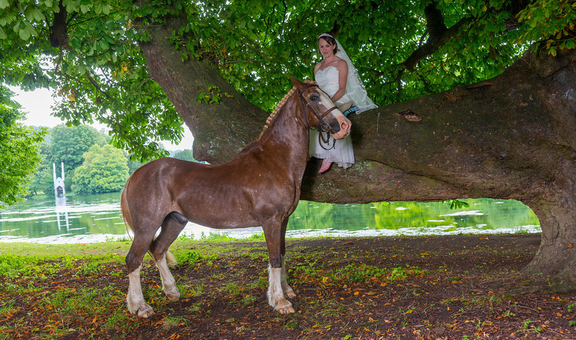 WWE Bridal tree 011 
 West Wycombe Horse shoot 
 Keywords: Buckinghamshire wedding photographer, Horses, Piers Photo, Summer, West Wycombe House