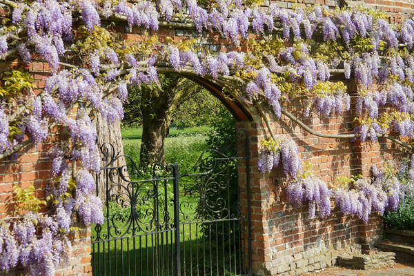 Adwell House 12 
 Adwell House May 2013 
 Keywords: Adwell House, Piers Photos, gardens