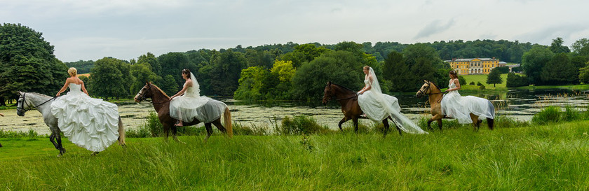 WWE Bridal Horse shoot 009 
 West Wycombe Horse shoot 
 Keywords: Buckinghamshire wedding photographer, Horses, Piers Photo, Summer, West Wycombe House