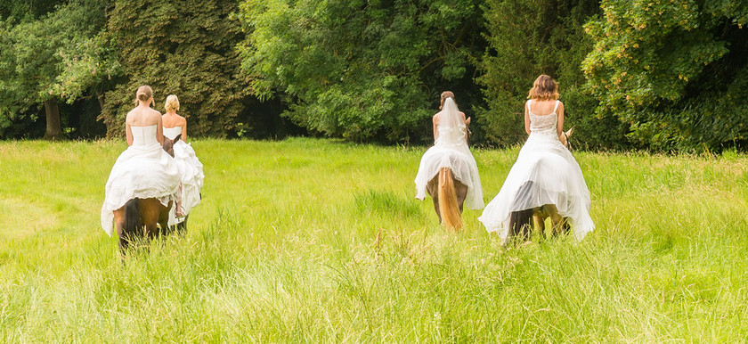 WWE Bridal Horse shoot 010 
 West Wycombe Horse shoot 
 Keywords: Buckinghamshire wedding photographer, Horses, Piers Photo, Summer, West Wycombe House