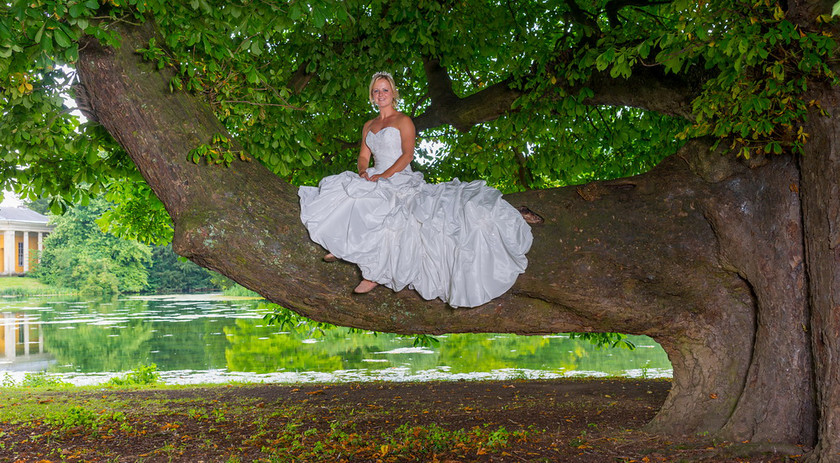 WWE Bridal tree 012 
 West Wycombe Horse shoot 
 Keywords: Buckinghamshire wedding photographer, Horses, Piers Photo, Summer, West Wycombe House
