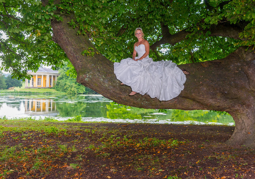 WWE Bridal tree 014 
 West Wycombe Horse shoot 
 Keywords: Buckinghamshire wedding photographer, Horses, Piers Photo, Summer, West Wycombe House