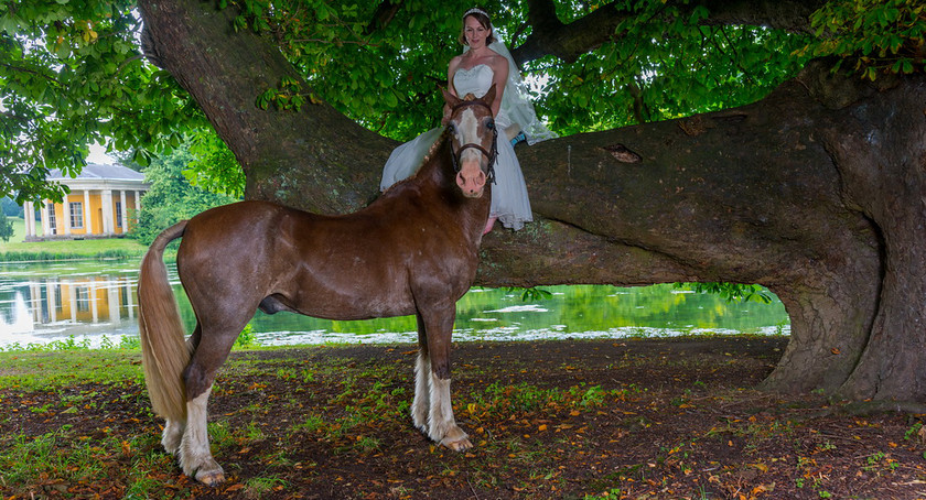 WWE Bridal tree 010 
 West Wycombe Horse shoot 
 Keywords: Buckinghamshire wedding photographer, Horses, Piers Photo, Summer, West Wycombe House