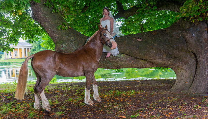 WWE Bridal tree 009 
 West Wycombe Horse shoot 
 Keywords: Buckinghamshire wedding photographer, Horses, Piers Photo, Summer, West Wycombe House