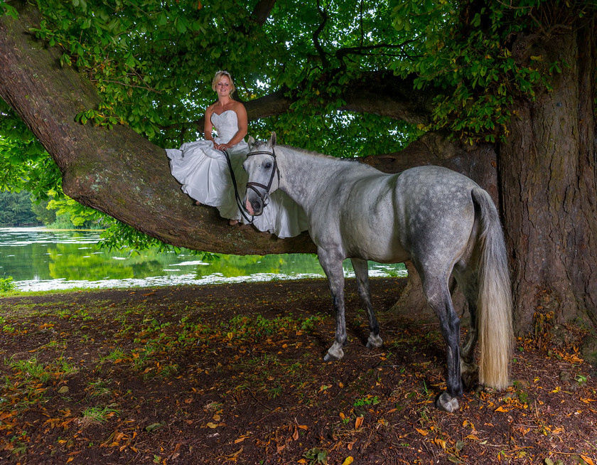 WWE Bridal tree 020 
 West Wycombe Horse shoot 
 Keywords: Buckinghamshire wedding photographer, Horses, Piers Photo, Summer, West Wycombe House