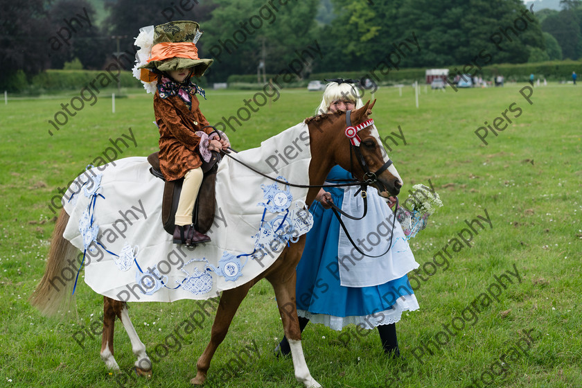 Fancy Dress 001 
 Naphill Riding Club Open Show 
 Keywords: Naphill Riding Club,Open Show, Equestrian, Piers Photography, Bucks Wedding Photographer