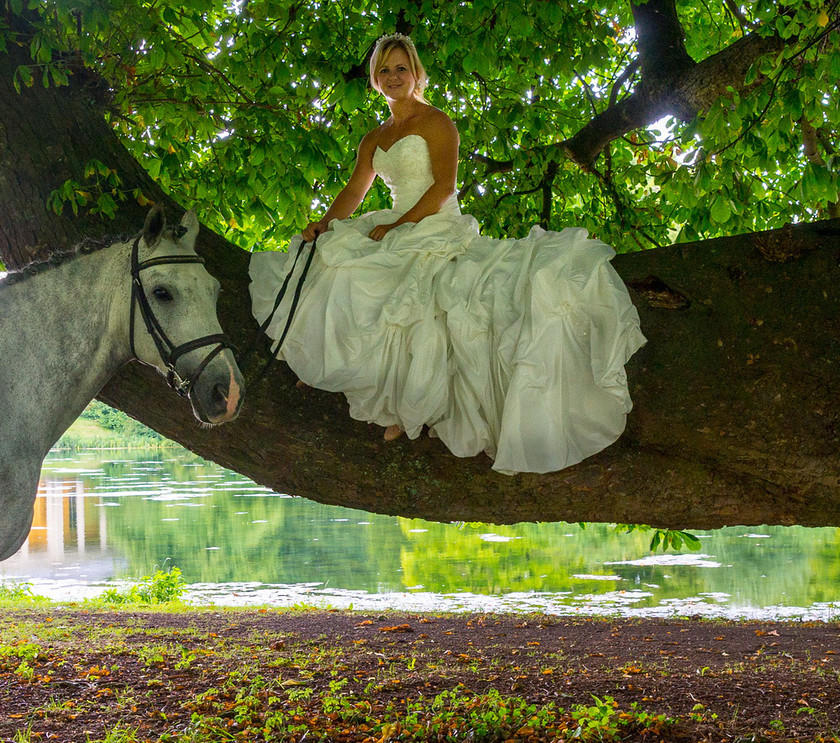 WWE Bridal tree 017 
 West Wycombe Horse shoot 
 Keywords: Buckinghamshire wedding photographer, Horses, Piers Photo, Summer, West Wycombe House