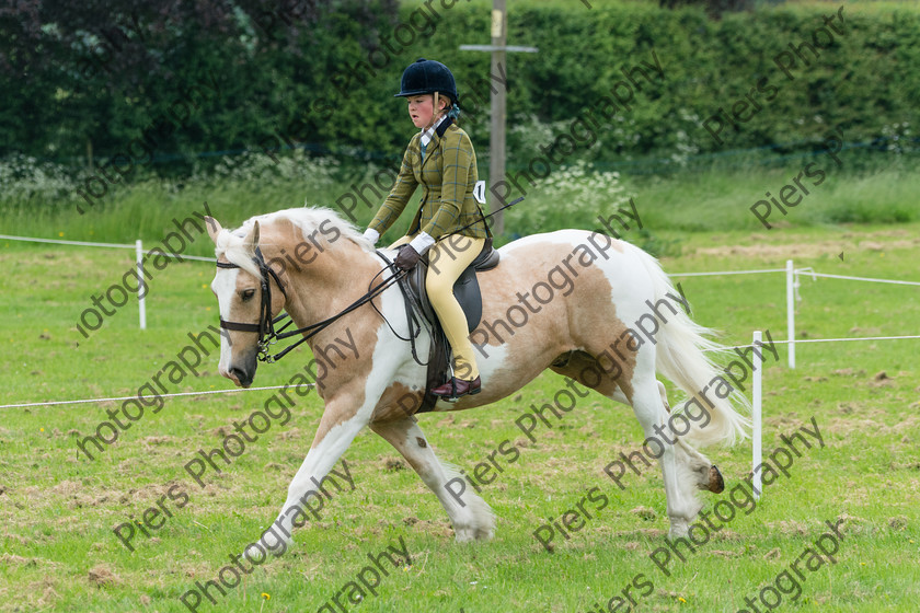 Ring 2 Afternoon 017 
 Naphill Riding Club Open Show 
 Keywords: Naphill Riding Club, Open Show, Equestrian, Piers Photography,
Bucks Wedding Photographer