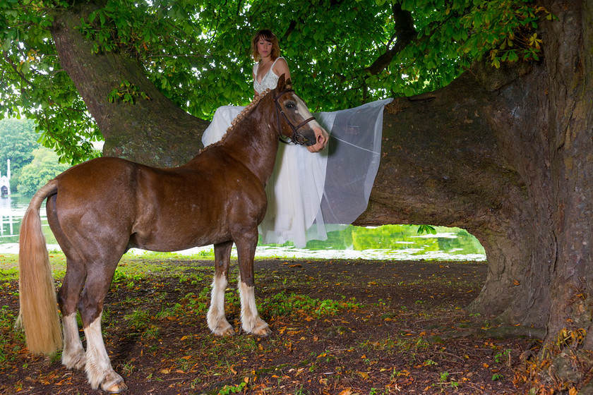 WWE Bridal tree 004 
 West Wycombe Horse shoot 
 Keywords: Buckinghamshire wedding photographer, Horses, Piers Photo, Summer, West Wycombe House