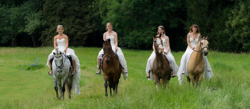 WWE Bridal Horse shoot 019 
 West Wycombe Horse shoot 
 Keywords: Buckinghamshire wedding photographer, Horses, Piers Photo, Summer, West Wycombe House