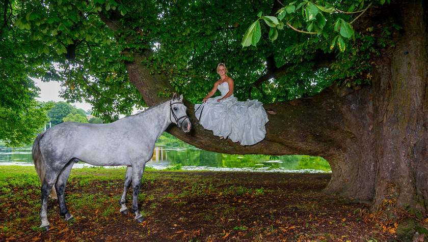 WWE Bridal tree 016 
 West Wycombe Horse shoot 
 Keywords: Buckinghamshire wedding photographer, Horses, Piers Photo, Summer, West Wycombe House
