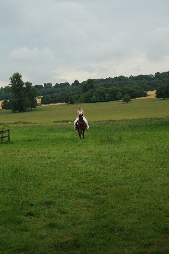 Alice Canter 009 
 West Wycombe Horse shoot 
 Keywords: Buckinghamshire wedding photographer, Horses, Piers Photo, Summer, West Wycombe House