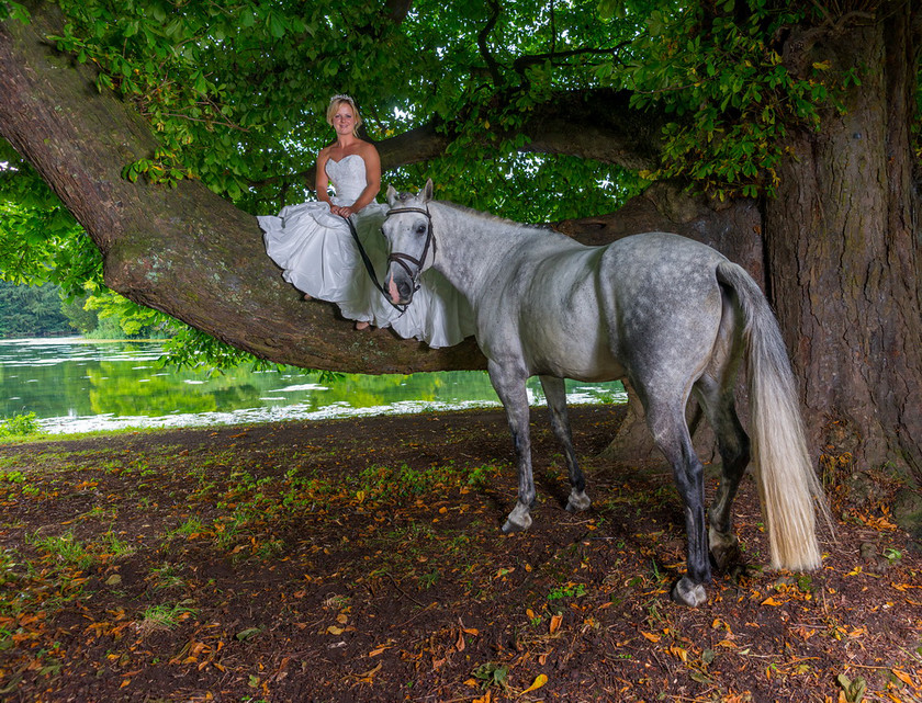 WWE Bridal tree 019 
 West Wycombe Horse shoot 
 Keywords: Buckinghamshire wedding photographer, Horses, Piers Photo, Summer, West Wycombe House