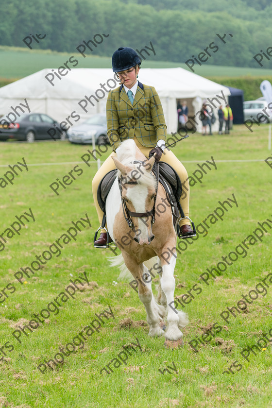 Ring 2 Afternoon 003 
 Naphill Riding Club Open Show 
 Keywords: Naphill Riding Club, Open Show, Equestrian, Piers Photography,
Bucks Wedding Photographer